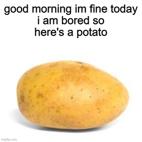 Potato | good morning im fine today
i am bored so
here's a potato | image tagged in potato | made w/ Imgflip meme maker