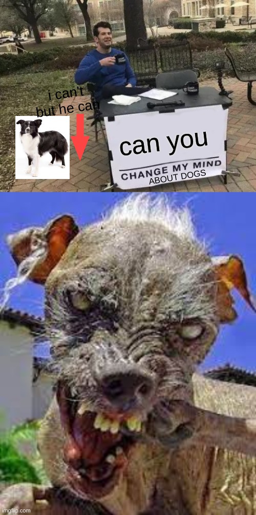 change my mind about dogs |  i can't but he can; can you; ABOUT DOGS | image tagged in memes,change my mind,ugly dog,cute dog | made w/ Imgflip meme maker