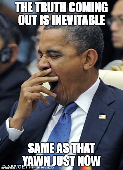 Obama Yawn | THE TRUTH COMING OUT IS INEVITABLE; SAME AS THAT YAWN JUST NOW | image tagged in obama yawn | made w/ Imgflip meme maker