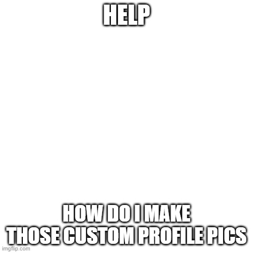 halp | HELP; HOW DO I MAKE THOSE CUSTOM PROFILE PICS | image tagged in memes,blank transparent square,profile picture | made w/ Imgflip meme maker
