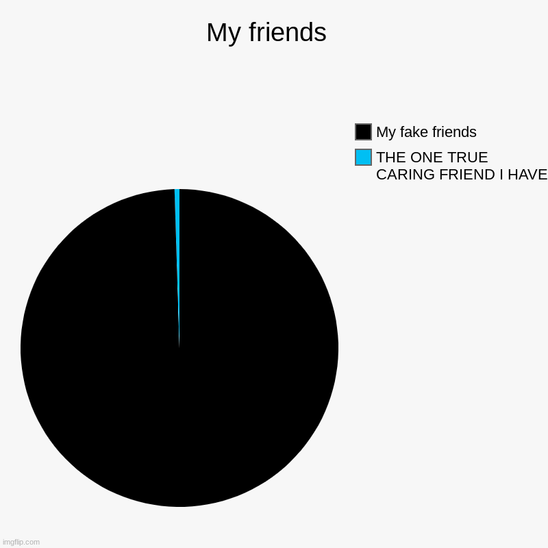 My friends  | THE ONE TRUE CARING FRIEND I HAVE , My fake friends | image tagged in charts,pie charts | made w/ Imgflip chart maker