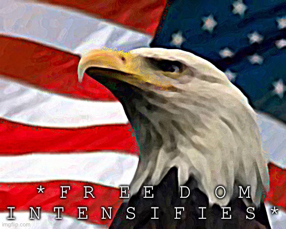 Murica Patriotic Eagle | * F R  E E  D  O M I N T E N S I F I E S * | image tagged in murica patriotic eagle | made w/ Imgflip meme maker