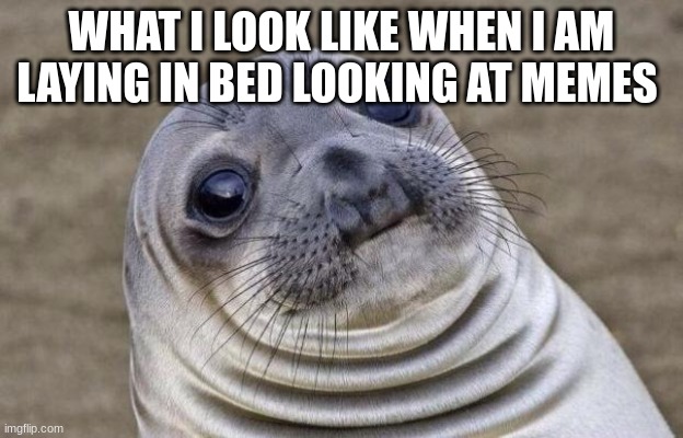 Awkward Moment Sealion | WHAT I LOOK LIKE WHEN I AM LAYING IN BED LOOKING AT MEMES | image tagged in memes,awkward moment sealion | made w/ Imgflip meme maker