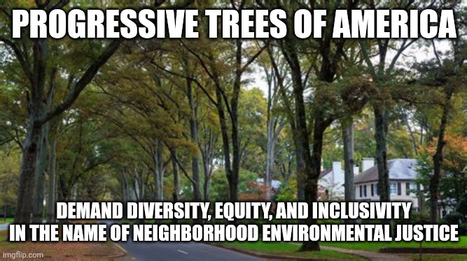PROGRESSIVE TREES OF AMERICA | PROGRESSIVE TREES OF AMERICA; DEMAND DIVERSITY, EQUITY, AND INCLUSIVITY IN THE NAME OF NEIGHBORHOOD ENVIRONMENTAL JUSTICE | image tagged in diversity,progressive,trees,environmental,justice | made w/ Imgflip meme maker