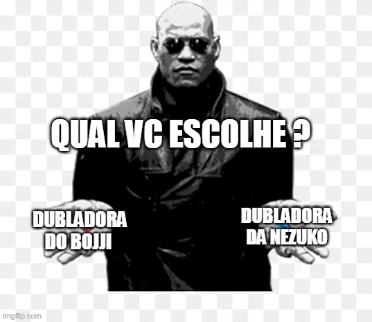 QUAL VC ESCOLHE ? DUBLADORA DO BOJJI; DUBLADORA DA NEZUKO | made w/ Imgflip meme maker