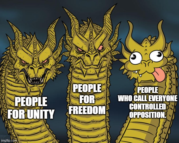 Three-headed Dragon | PEOPLE FOR FREEDOM; PEOPLE WHO CALL EVERYONE CONTROLLED OPPOSITION. PEOPLE FOR UNITY | image tagged in three-headed dragon | made w/ Imgflip meme maker