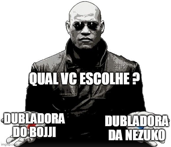 QUAL VC ESCOLHE ? DUBLADORA DA NEZUKO; DUBLADORA DO BOJJI | made w/ Imgflip meme maker