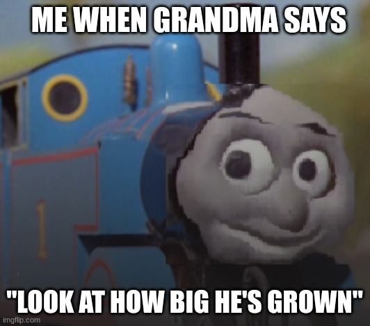 No! I don't want more Mac N Cheese... is that a gun?? | ME WHEN GRANDMA SAYS; "LOOK AT HOW BIG HE'S GROWN" | image tagged in pixelated thomas the tank engine | made w/ Imgflip meme maker