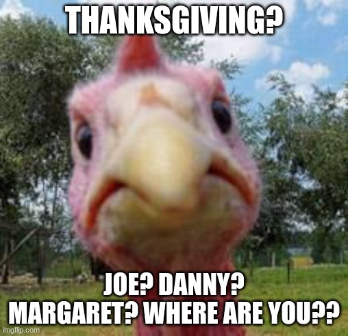 turkey season | THANKSGIVING? JOE? DANNY? MARGARET? WHERE ARE YOU?? | image tagged in turkey | made w/ Imgflip meme maker