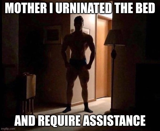 i urinated the bed and require assistance | MOTHER I URNINATED THE BED; AND REQUIRE ASSISTANCE | image tagged in i urinated the bed and require assistance | made w/ Imgflip meme maker