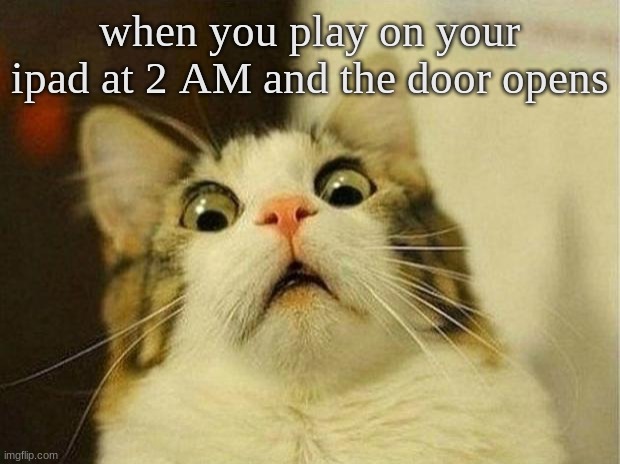 hi mom, nothing suspicious | when you play on your ipad at 2 AM and the door opens | image tagged in memes,scared cat | made w/ Imgflip meme maker