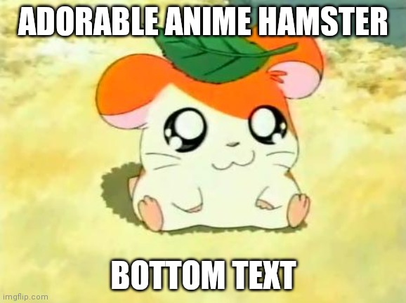 Hamster go brrr | ADORABLE ANIME HAMSTER; BOTTOM TEXT | image tagged in memes,hamtaro | made w/ Imgflip meme maker