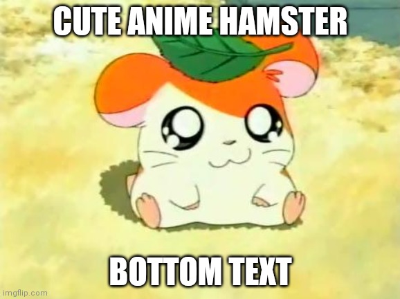 Hamster go brrrrrrr | CUTE ANIME HAMSTER; BOTTOM TEXT | image tagged in memes,hamtaro | made w/ Imgflip meme maker