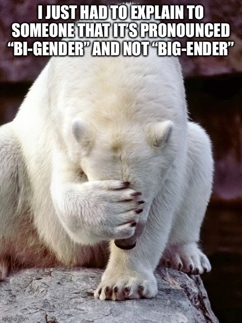 :T | I JUST HAD TO EXPLAIN TO SOMEONE THAT IT’S PRONOUNCED “BI-GENDER” AND NOT “BIG-ENDER” | image tagged in polar bear smh | made w/ Imgflip meme maker