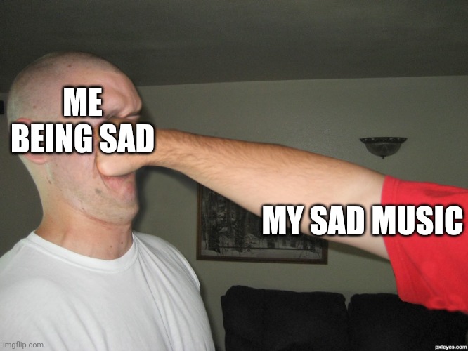 Face punch | ME BEING SAD MY SAD MUSIC | image tagged in face punch | made w/ Imgflip meme maker