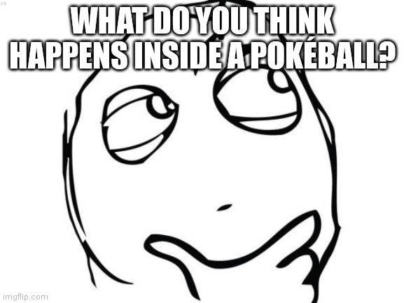 Answers are allowed to be silly, just no NSFW answers | WHAT DO YOU THINK HAPPENS INSIDE A POKÉBALL? | image tagged in memes,question rage face | made w/ Imgflip meme maker