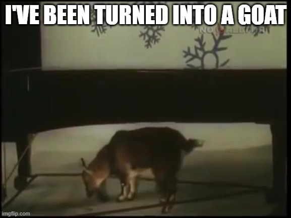 Andrew Taylor | I'VE BEEN TURNED INTO A GOAT | image tagged in andrew taylor | made w/ Imgflip meme maker