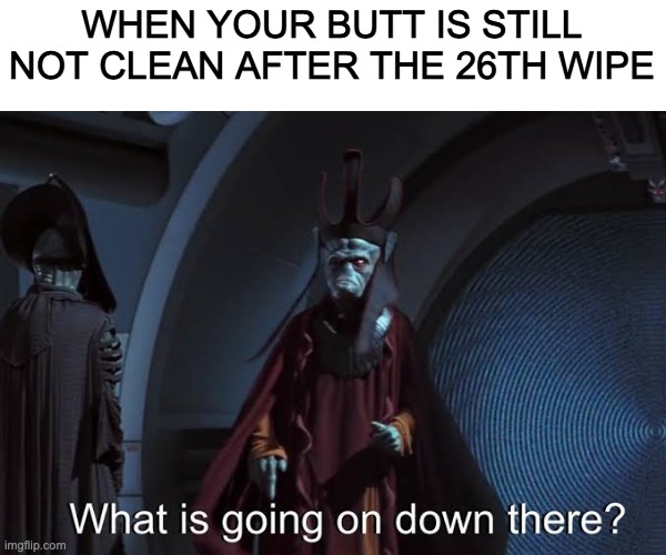 relatable huh | WHEN YOUR BUTT IS STILL NOT CLEAN AFTER THE 26TH WIPE | image tagged in what is going on down there,star wars | made w/ Imgflip meme maker