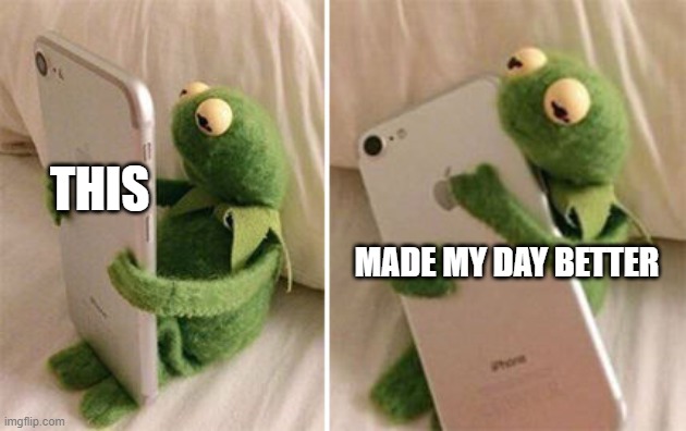 Kermit holding phone | THIS MADE MY DAY BETTER | image tagged in kermit holding phone | made w/ Imgflip meme maker