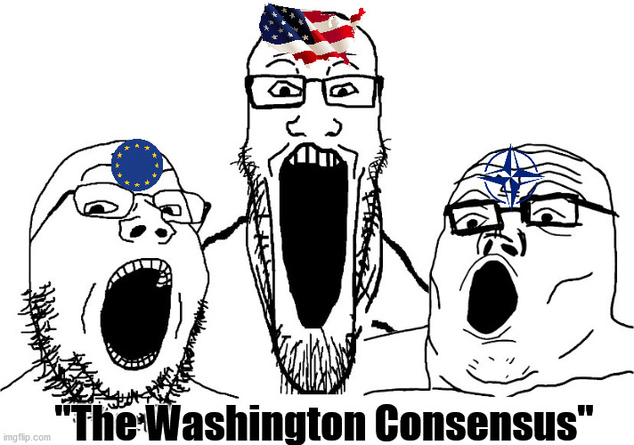 NATO, the EU, and the USA are all shit |  "The Washington Consensus" | made w/ Imgflip meme maker
