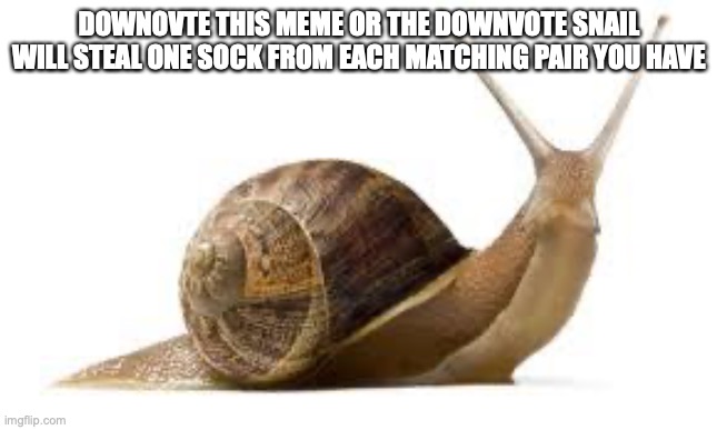 I'm downvote begging again | DOWNOVTE THIS MEME OR THE DOWNVOTE SNAIL WILL STEAL ONE SOCK FROM EACH MATCHING PAIR YOU HAVE | image tagged in snail | made w/ Imgflip meme maker