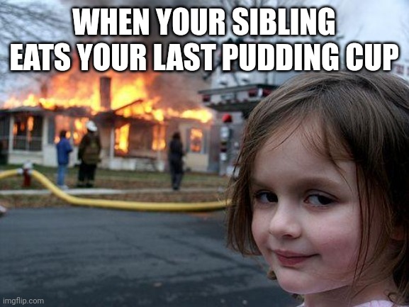 You stole my pudding. | WHEN YOUR SIBLING EATS YOUR LAST PUDDING CUP | image tagged in memes,disaster girl,pudding | made w/ Imgflip meme maker
