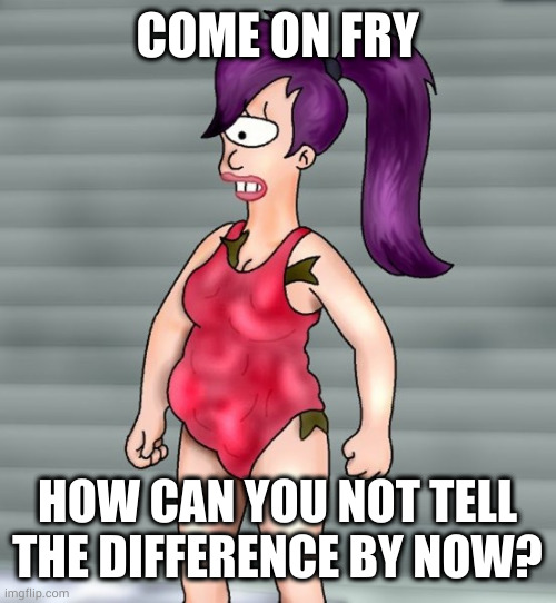 COME ON FRY; HOW CAN YOU NOT TELL THE DIFFERENCE BY NOW? | made w/ Imgflip meme maker