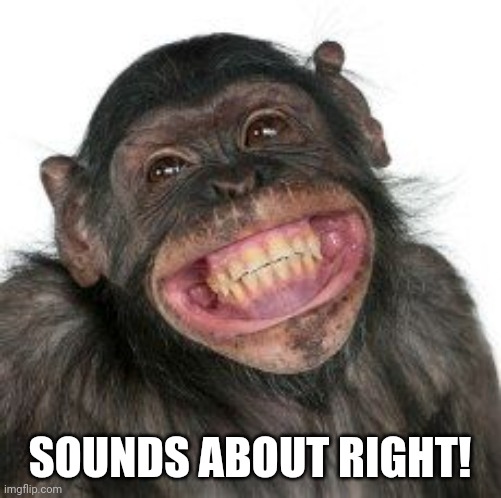 Grinning Chimp | SOUNDS ABOUT RIGHT! | image tagged in grinning chimp | made w/ Imgflip meme maker