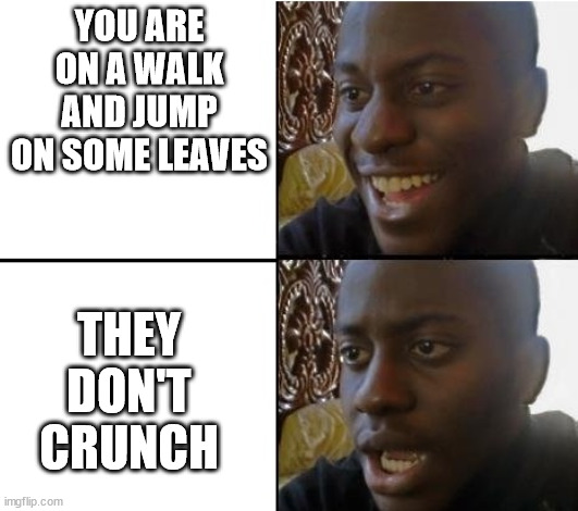 surpried disapointed man | YOU ARE ON A WALK AND JUMP ON SOME LEAVES; THEY DON'T CRUNCH | image tagged in surpried disapointed man | made w/ Imgflip meme maker
