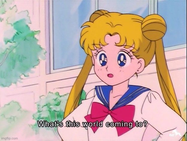 Sailor Moon what’s this world coming to | image tagged in sailor moon what s this world coming to | made w/ Imgflip meme maker