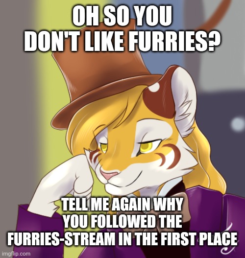 Creepy condensing wonka furry | OH SO YOU DON'T LIKE FURRIES? TELL ME AGAIN WHY YOU FOLLOWED THE FURRIES-STREAM IN THE FIRST PLACE | image tagged in creepy condensing wonka furry | made w/ Imgflip meme maker