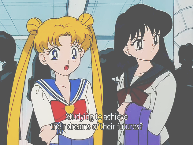 Sailor Moon studying to achieve their dreams of their futures Blank Meme Template