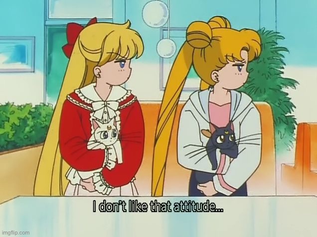 Sailor Moon I don’t like that attitude | image tagged in sailor moon i don t like that attitude | made w/ Imgflip meme maker
