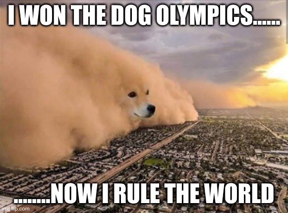 DOGE MEME PART 3 | I WON THE DOG OLYMPICS...... ........NOW I RULE THE WORLD | image tagged in dust doge storm,doge,funny memes,meme,funny | made w/ Imgflip meme maker