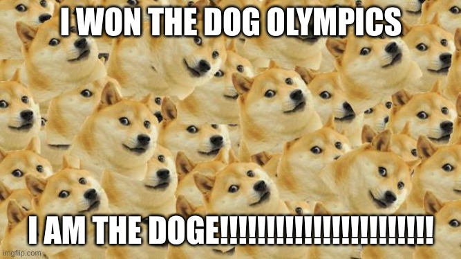 DOGE MEME PART 4 | I WON THE DOG OLYMPICS; I AM THE DOGE!!!!!!!!!!!!!!!!!!!!!!! | image tagged in memes,multi doge,doge,funny,funny memes | made w/ Imgflip meme maker