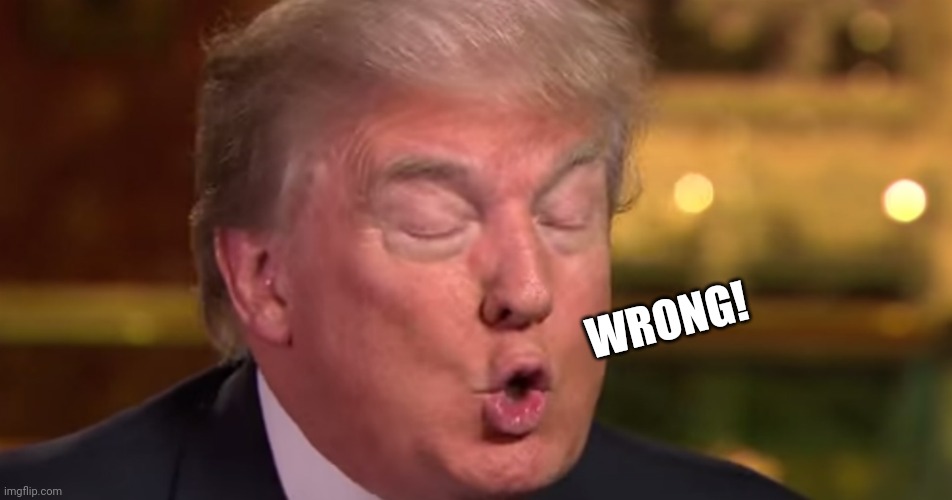 WRONG! | image tagged in trump wrong meme | made w/ Imgflip meme maker