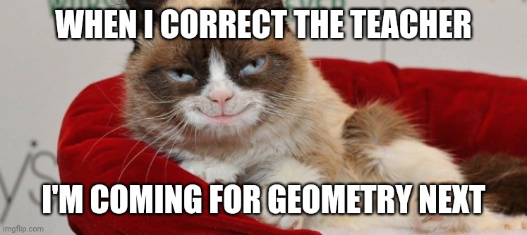 Grumpy cat loves suffering huh at least he loves | WHEN I CORRECT THE TEACHER; I'M COMING FOR GEOMETRY NEXT | image tagged in grumpy cat | made w/ Imgflip meme maker