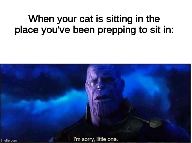 When your cat is sitting in the place you've been prepping to sit in: | image tagged in blank white template,thanos i'm sorry little one | made w/ Imgflip meme maker