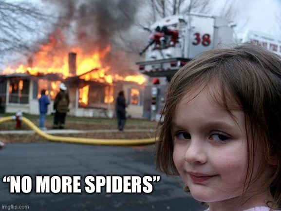 Disaster Girl | “NO MORE SPIDERS” | image tagged in memes,disaster girl | made w/ Imgflip meme maker