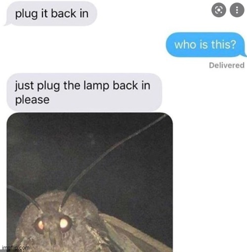 ' | made w/ Imgflip meme maker