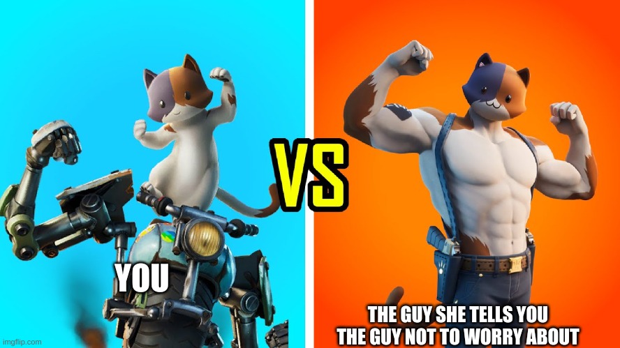 so true | THE GUY SHE TELLS YOU THE GUY NOT TO WORRY ABOUT; YOU | image tagged in meowcles and kit,fortnite meme | made w/ Imgflip meme maker