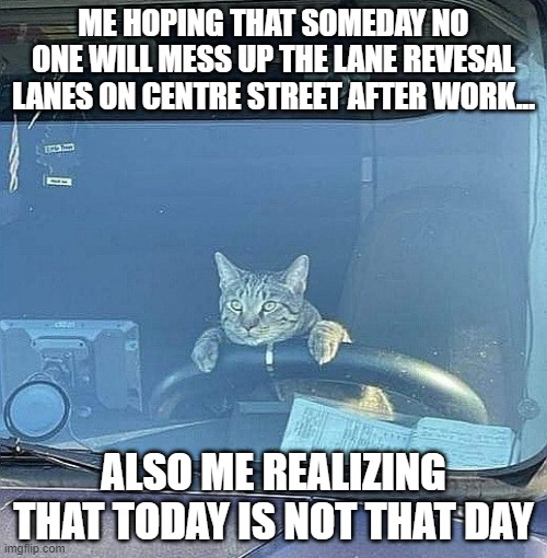 ME HOPING THAT SOMEDAY NO ONE WILL MESS UP THE LANE REVESAL LANES ON CENTRE STREET AFTER WORK... ALSO ME REALIZING THAT TODAY IS NOT THAT DAY | made w/ Imgflip meme maker