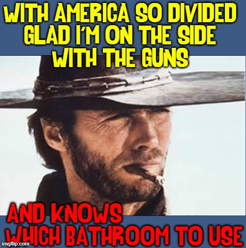 WITH AMERICA SO DIVIDED
GLAD I'M ON THE SIDE
WITH THE GUNS AND KNOWS                    
WHICH BATHROOM TO USE | made w/ Imgflip meme maker