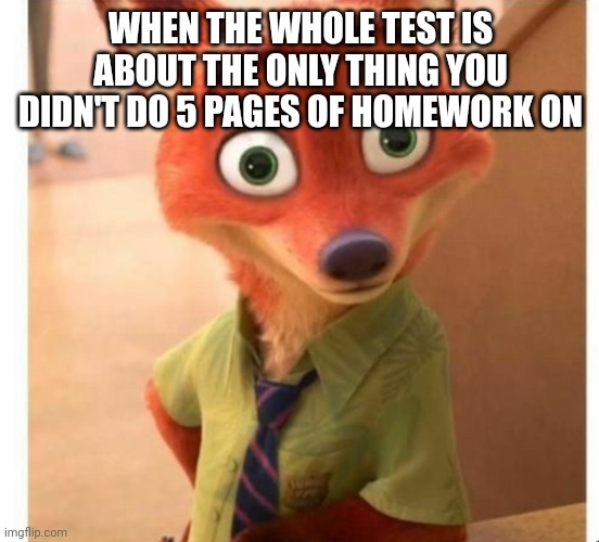Their next | WHEN THE WHOLE TEST IS ABOUT THE ONLY THING YOU DIDN'T DO 5 PAGES OF HOMEWORK ON | made w/ Imgflip meme maker