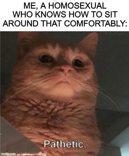 Pathetic Cat | ME, A HOMOSEXUAL WHO KNOWS HOW TO SIT AROUND THAT COMFORTABLY: | image tagged in pathetic cat | made w/ Imgflip meme maker