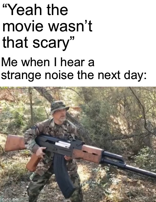 Lmao | “Yeah the movie wasn’t that scary”; Me when I hear a strange noise the next day: | made w/ Imgflip meme maker