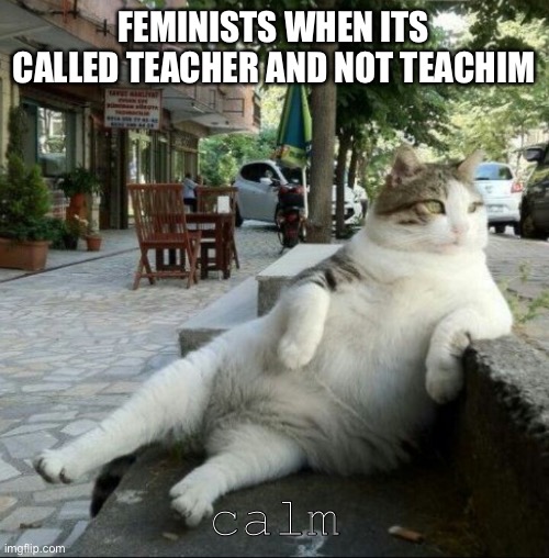 feminist memes are dead already |  FEMINISTS WHEN ITS CALLED TEACHER AND NOT TEACHIM; calm | image tagged in keep calm and relax,femenist,keep calm,oh wow are you actually reading these tags | made w/ Imgflip meme maker