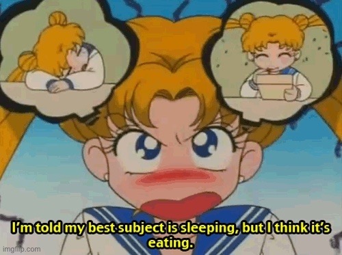 Sailor Moon I’m told my best subject is sleeping | image tagged in sailor moon i m told my best subject is sleeping | made w/ Imgflip meme maker