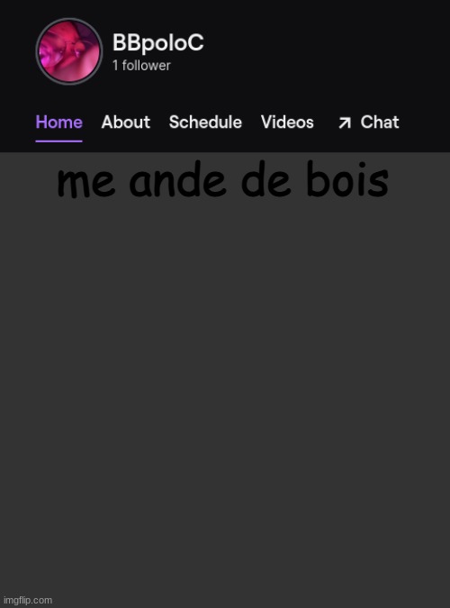 Twitch template | me ande de bois | image tagged in twitch template | made w/ Imgflip meme maker