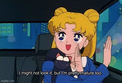 Sailor Moon I might not look it but | image tagged in sailor moon i might not look it but | made w/ Imgflip meme maker